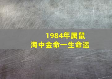 1984年属鼠海中金命一生命运