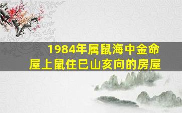 1984年属鼠海中金命屋上鼠住巳山亥向的房屋