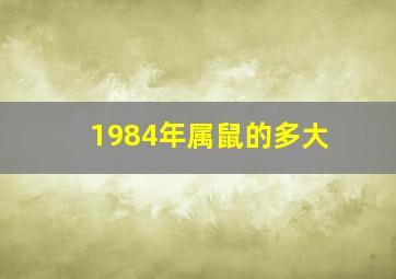 1984年属鼠的多大