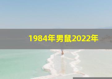 1984年男鼠2022年