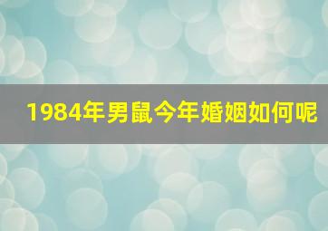 1984年男鼠今年婚姻如何呢