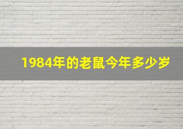 1984年的老鼠今年多少岁