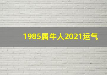 1985属牛人2021运气