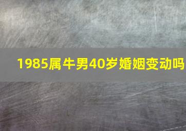 1985属牛男40岁婚姻变动吗