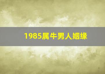 1985属牛男人姻缘