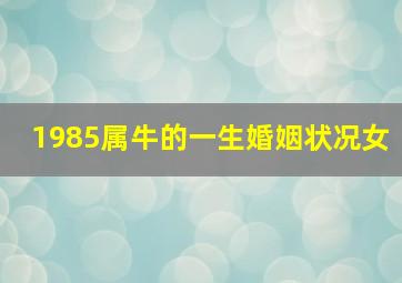 1985属牛的一生婚姻状况女