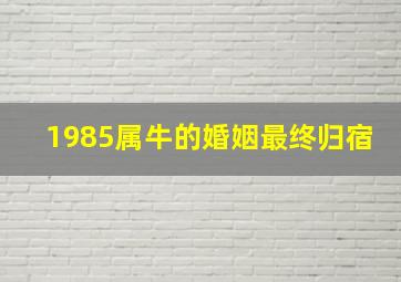 1985属牛的婚姻最终归宿