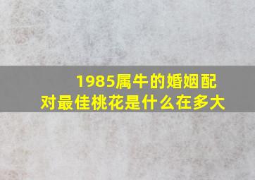 1985属牛的婚姻配对最佳桃花是什么在多大