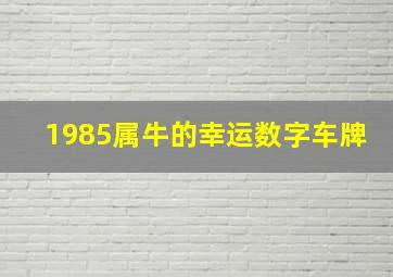 1985属牛的幸运数字车牌