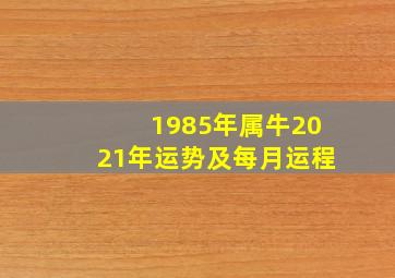 1985年属牛2021年运势及每月运程