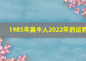 1985年属牛人2022年的运势