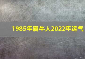 1985年属牛人2022年运气