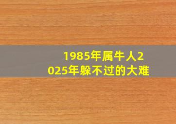 1985年属牛人2025年躲不过的大难