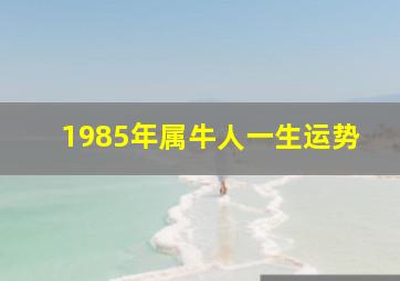 1985年属牛人一生运势