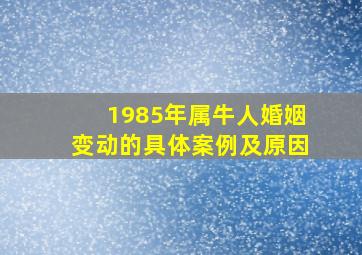 1985年属牛人婚姻变动的具体案例及原因