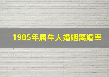 1985年属牛人婚姻离婚率