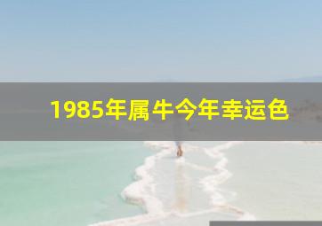 1985年属牛今年幸运色