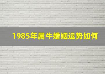 1985年属牛婚姻运势如何