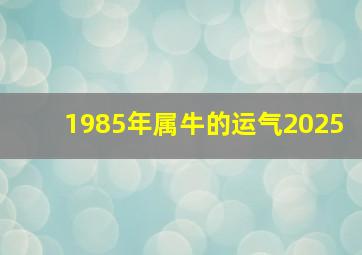 1985年属牛的运气2025