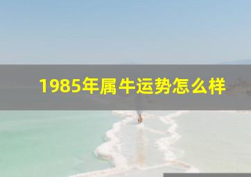 1985年属牛运势怎么样