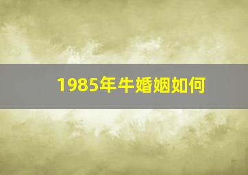 1985年牛婚姻如何