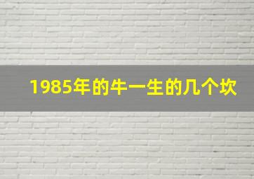 1985年的牛一生的几个坎