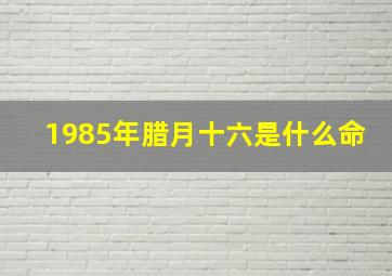 1985年腊月十六是什么命