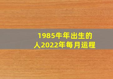 1985牛年出生的人2022年每月运程