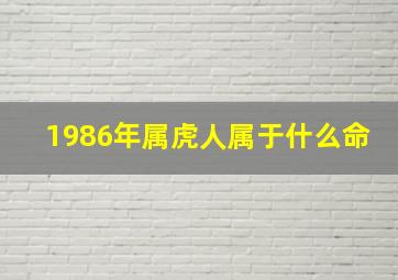 1986年属虎人属于什么命