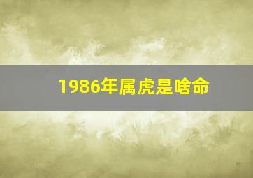 1986年属虎是啥命