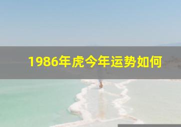 1986年虎今年运势如何