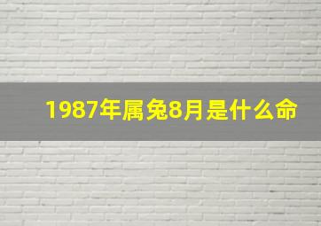 1987年属兔8月是什么命