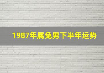 1987年属兔男下半年运势