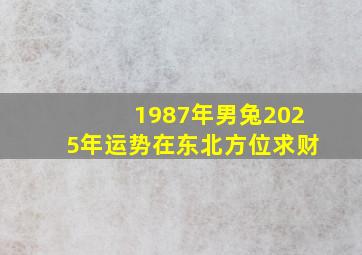 1987年男兔2025年运势在东北方位求财