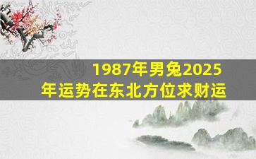 1987年男兔2025年运势在东北方位求财运