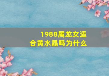 1988属龙女适合黄水晶吗为什么