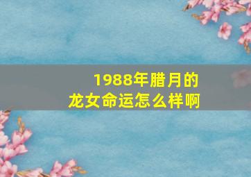 1988年腊月的龙女命运怎么样啊