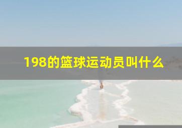 198的篮球运动员叫什么