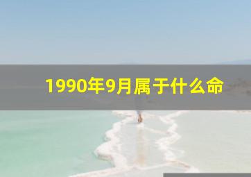 1990年9月属于什么命