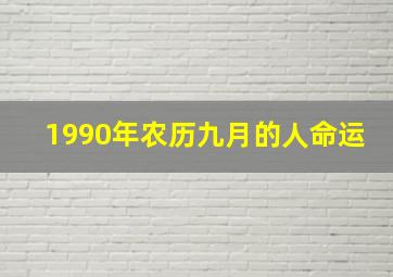 1990年农历九月的人命运