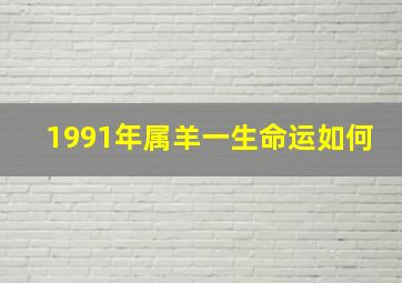 1991年属羊一生命运如何