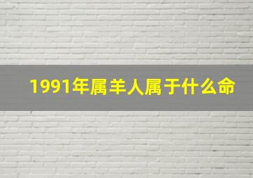 1991年属羊人属于什么命