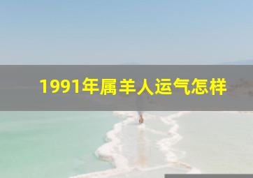 1991年属羊人运气怎样