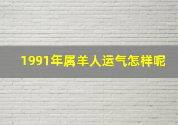 1991年属羊人运气怎样呢