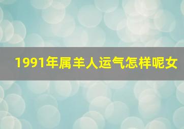 1991年属羊人运气怎样呢女