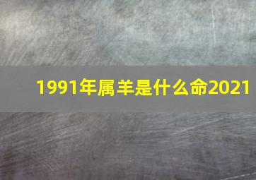 1991年属羊是什么命2021