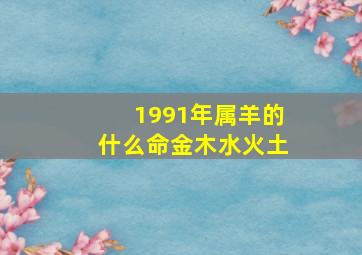 1991年属羊的什么命金木水火土