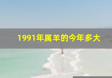 1991年属羊的今年多大