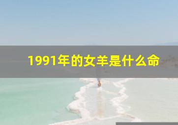 1991年的女羊是什么命