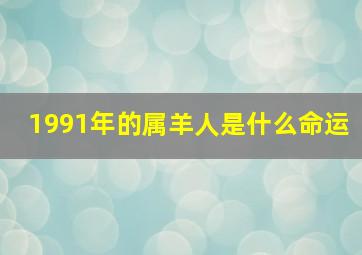 1991年的属羊人是什么命运